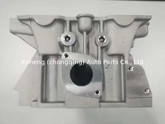SQR481FA SQR481FD SQR481F SQR481H SQR481FC Głowa cylindra 481F-CA8016A017 dla CHERY, EASTAR 2.4L/ TIGGO 2.0L