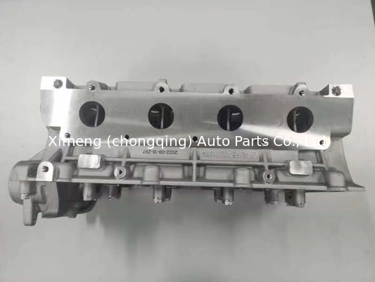 SQR481FA SQR481FD SQR481F SQR481H SQR481FC Głowa cylindra 481F-CA8016A017 dla CHERY, EASTAR 2.4L/ TIGGO 2.0L