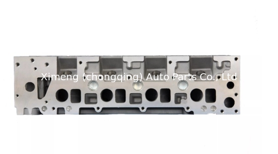 AMC908761 908761 ERR5027 LDF500180 Głowa cylindra silnika dla Landrover 300TDI